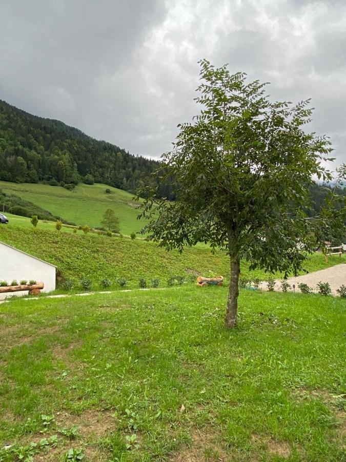 Ferienwohnung Apartma Lupis Podvolovljek Exterior foto